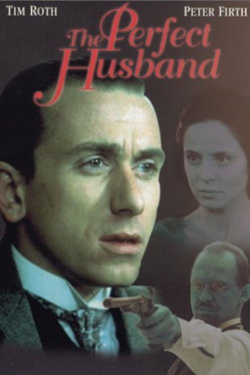 Постер El marido perfecto